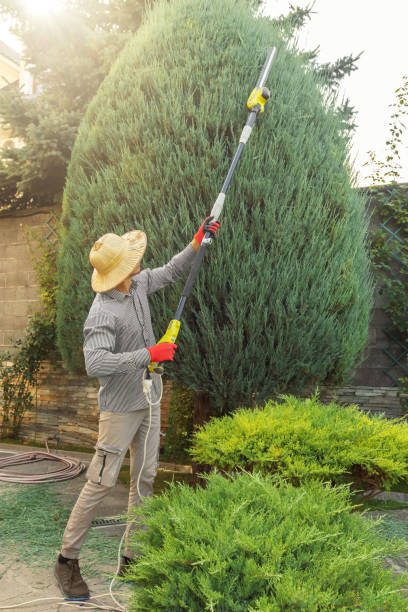 Best Landscape Design and Installation  in Hinesville, GA